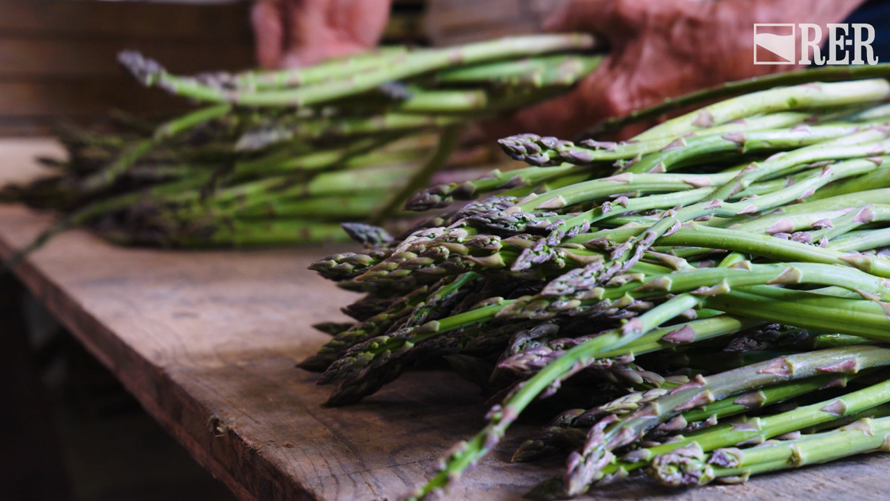 In buone mani - Asparago Verde di Altedo - immagine