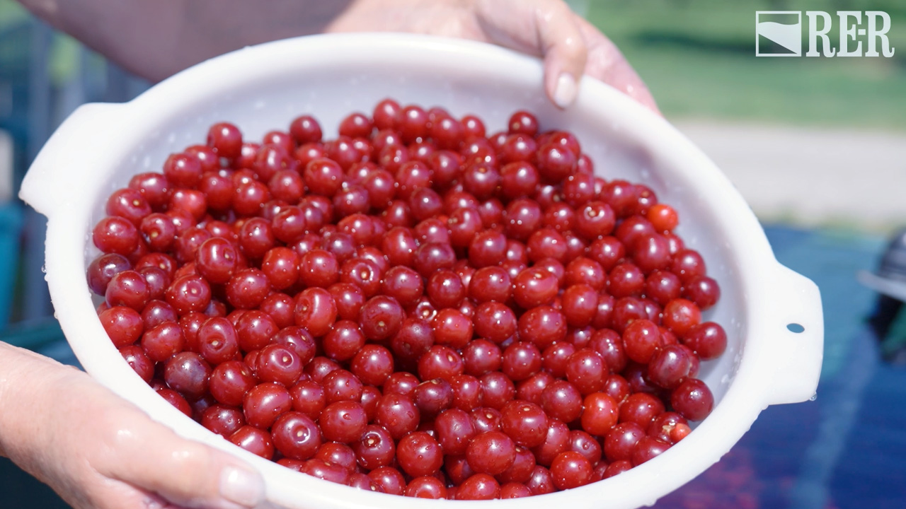 In buone mani - Amarene Brusche di Modena - immagine