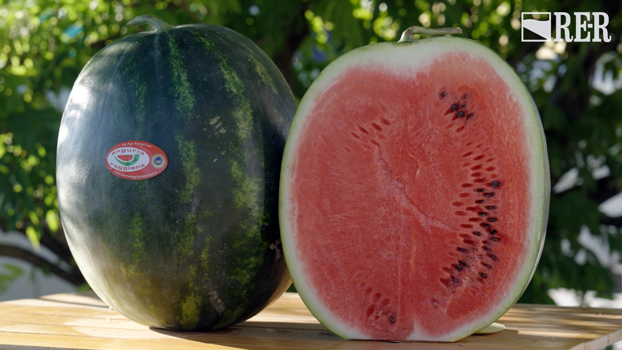 In buone mani - Anguria Reggiana - immagine