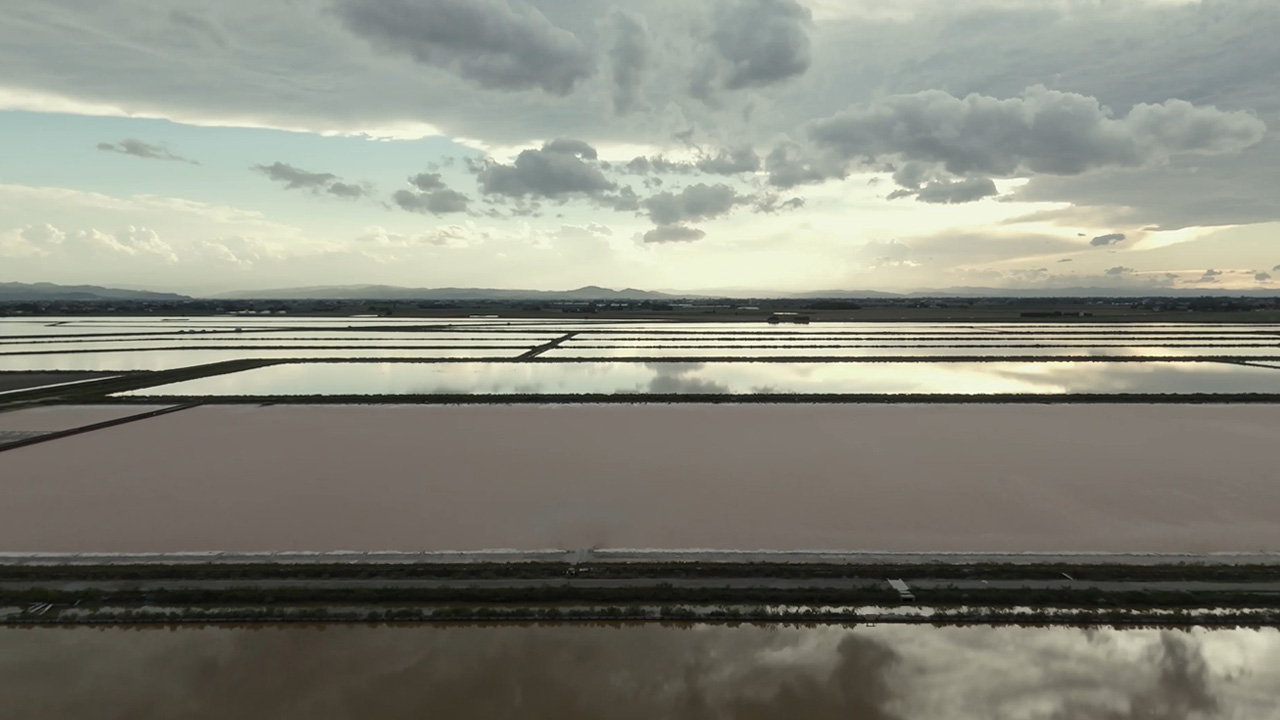 Documentario Cammini Gal Delta - immagine di copertina