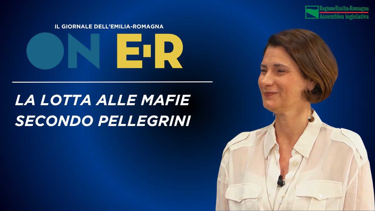 La lotta alle mafie secondo Pellegrini - immagine