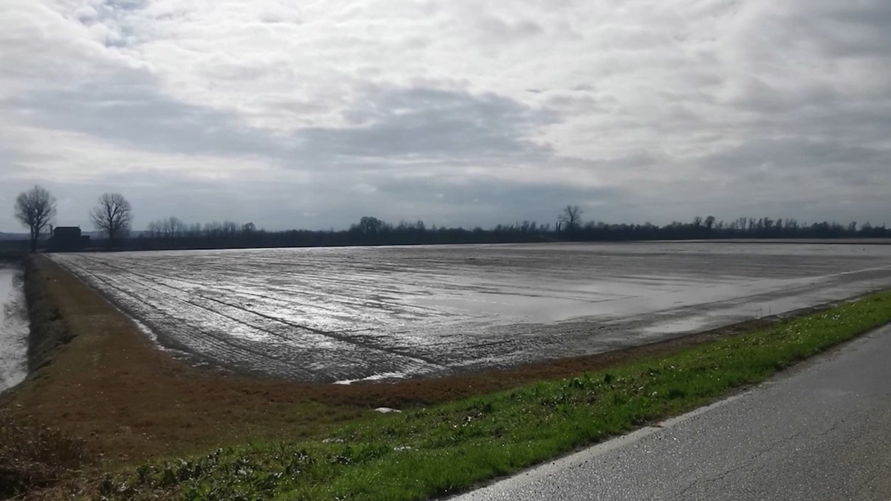 Nei luoghi dell'alluvione. Il sopralluogo nel Comune di Argenta - immagine