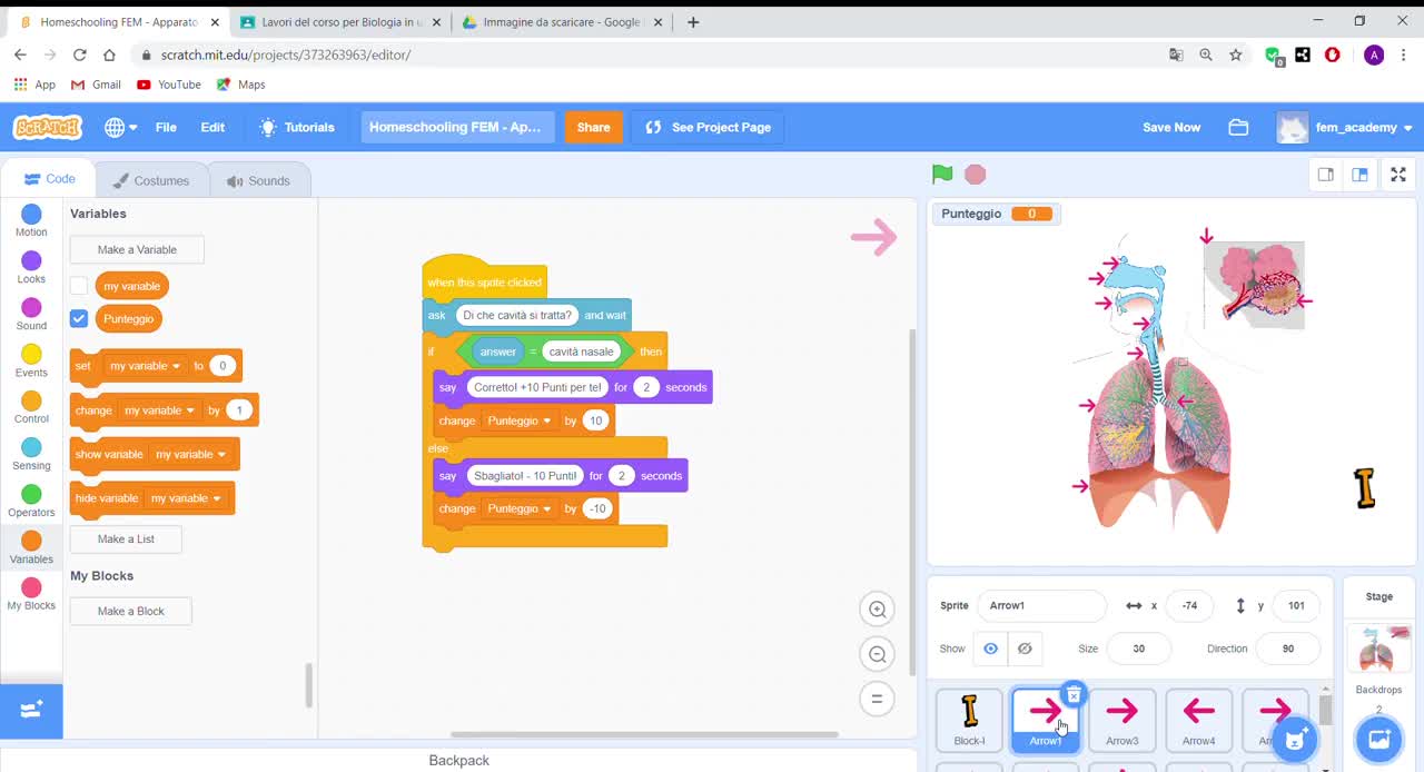 Biologia in un graffio con Scratch | STEP #4 | Tutorial - immagine