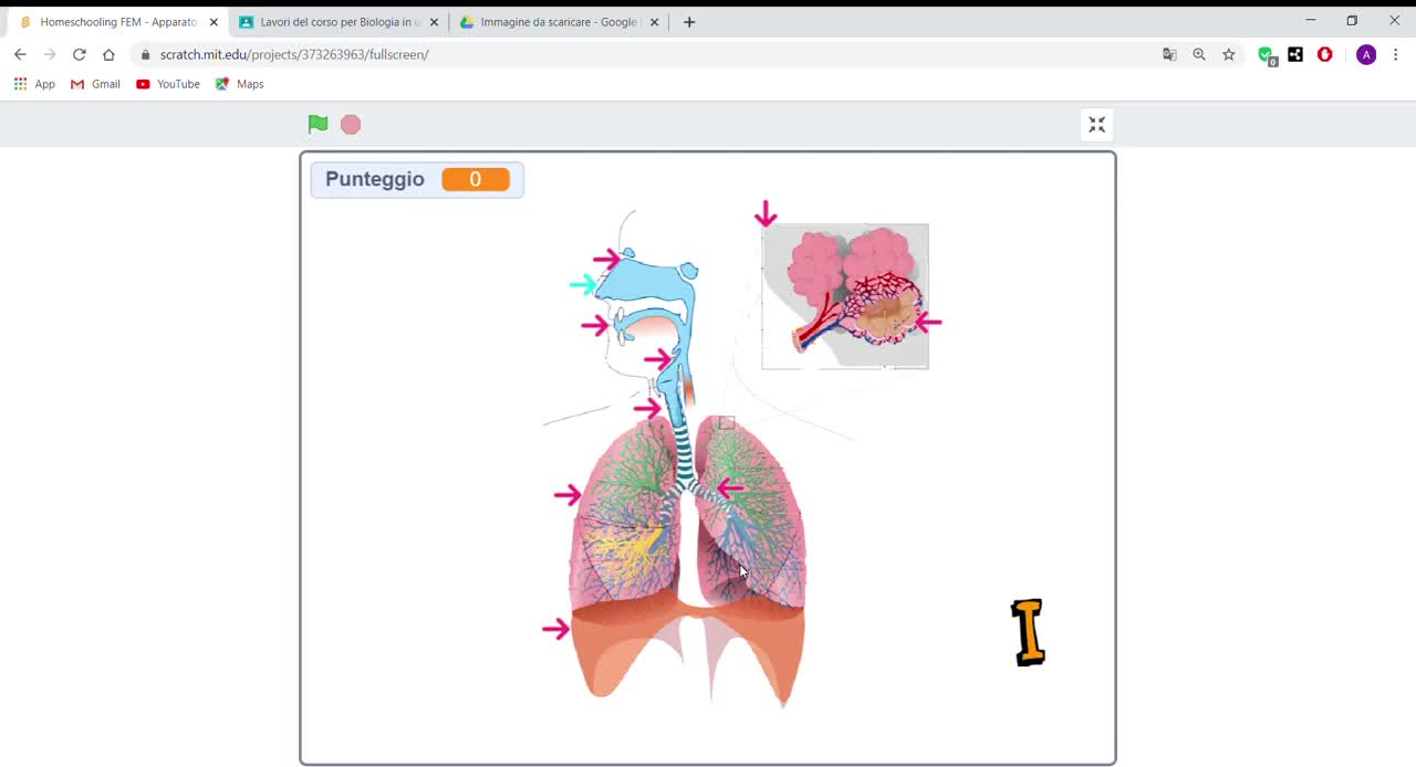 Biologia in un graffio con Scratch | STEP #5 | Tutorial - immagine