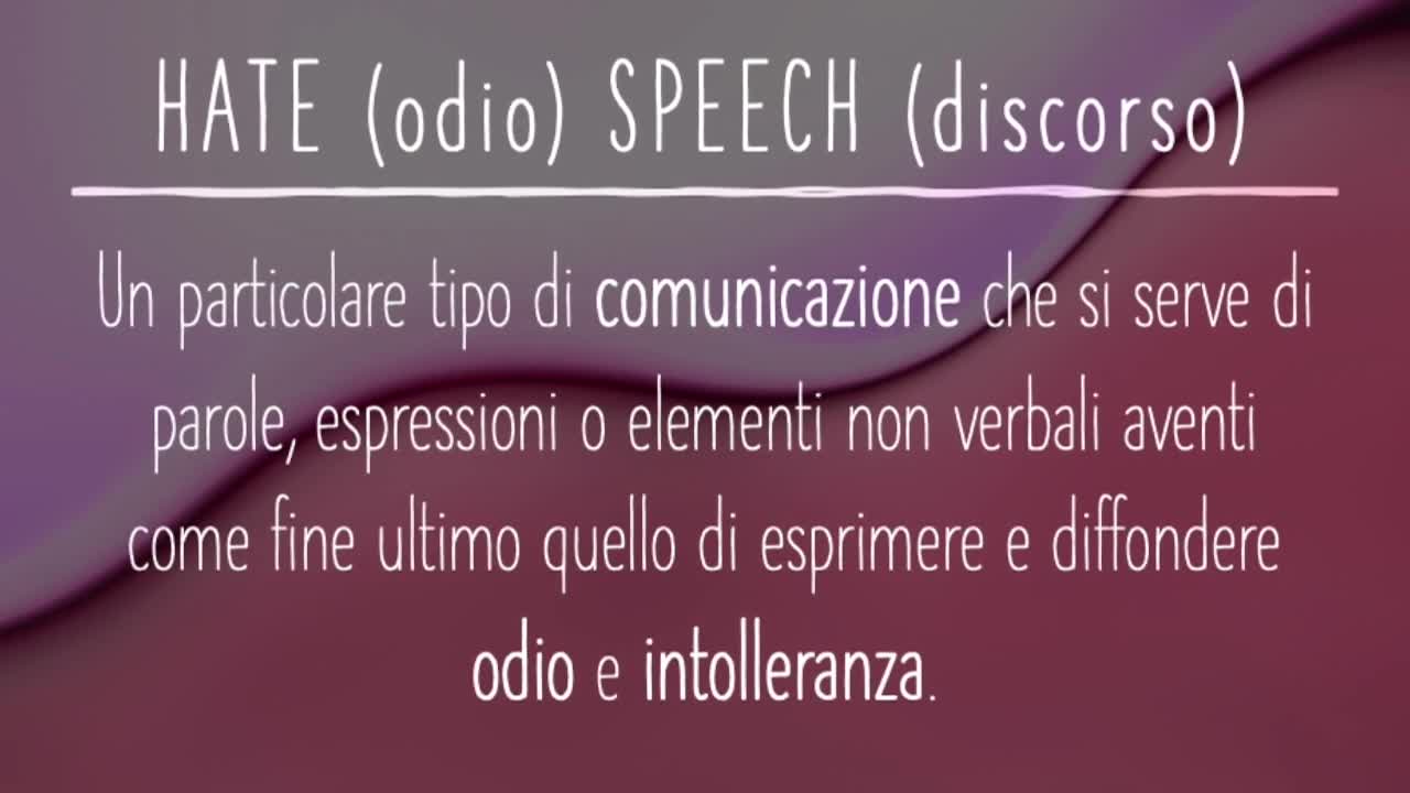 CarovanaStem - Hate Speech - immagine