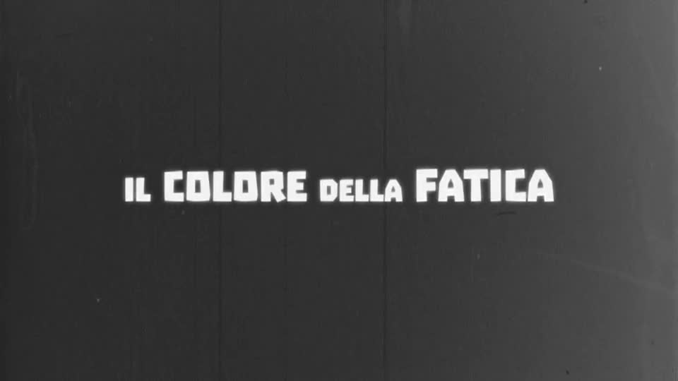 Il colore della fatica - immagine