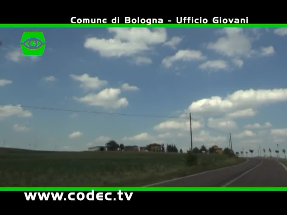 Codec TV, la tv vista dai giovani - immagine