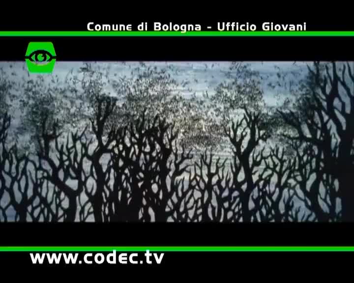 Codec TV, la tv vista dai giovani - immagine