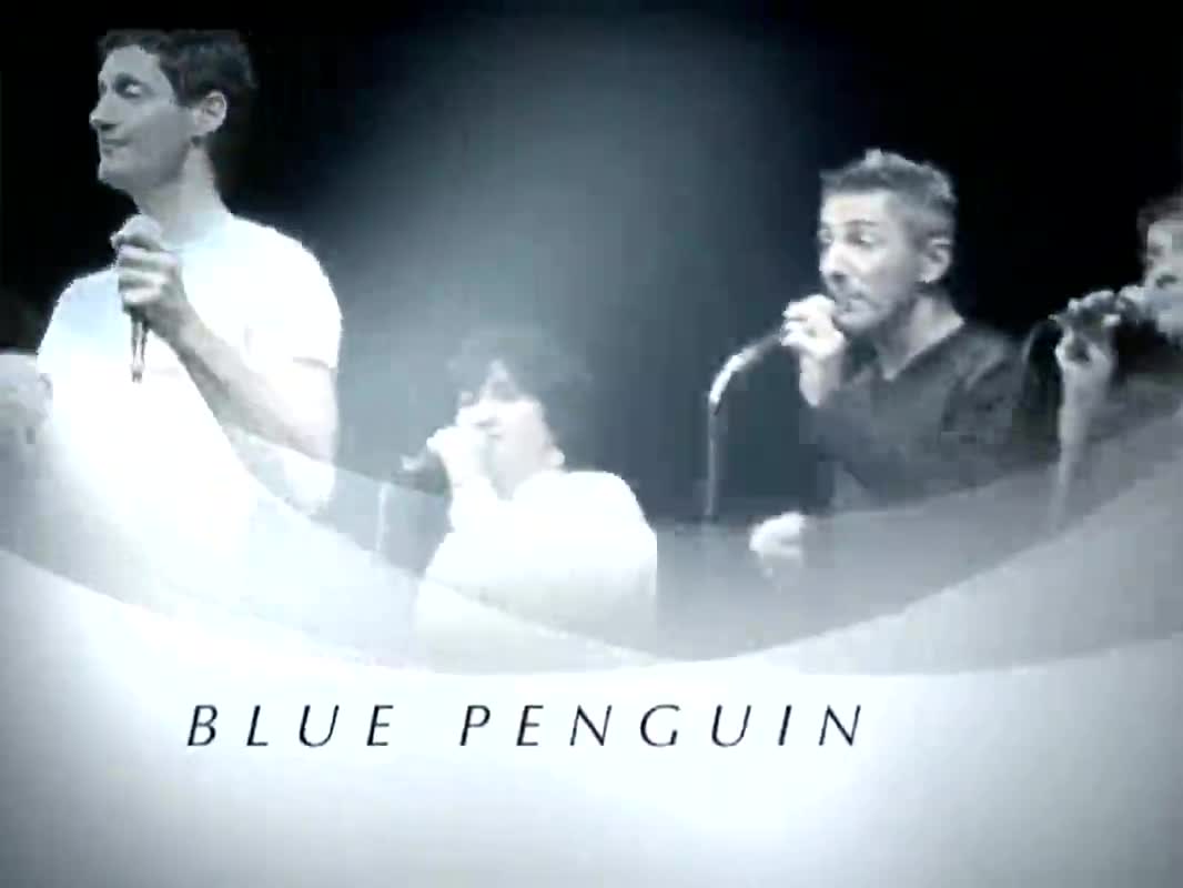 Autunno in Musica a Calderara di Reno - Blue Penguin - immagine