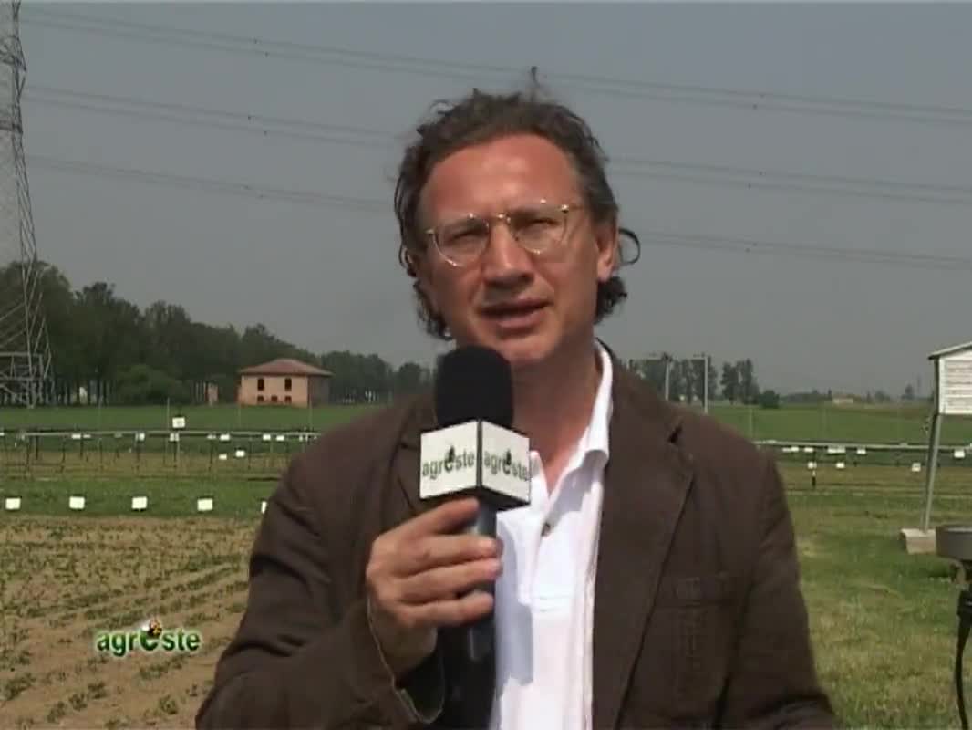 AgresteTV La trasmissione dell'agricoltura ferrarese - immagine