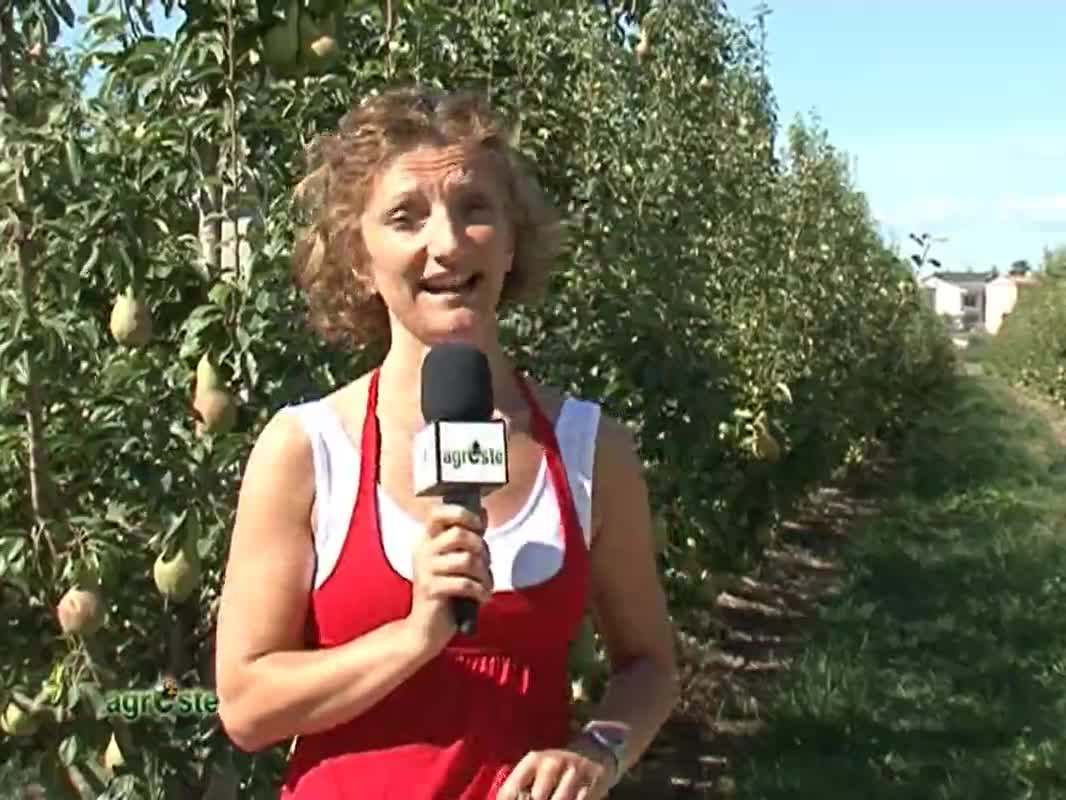 AgresteTV La trasmissione dell'agricoltura ferrarese - immagine