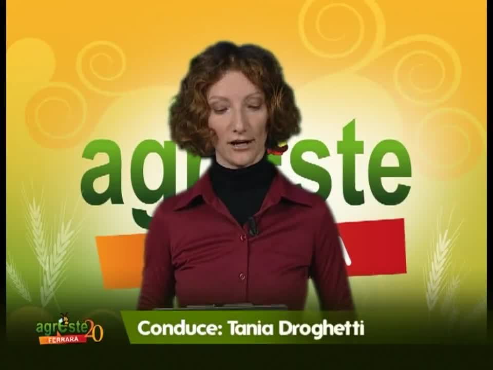 AgresteTV La trasmissione dell'agricoltura ferrarese - immagine