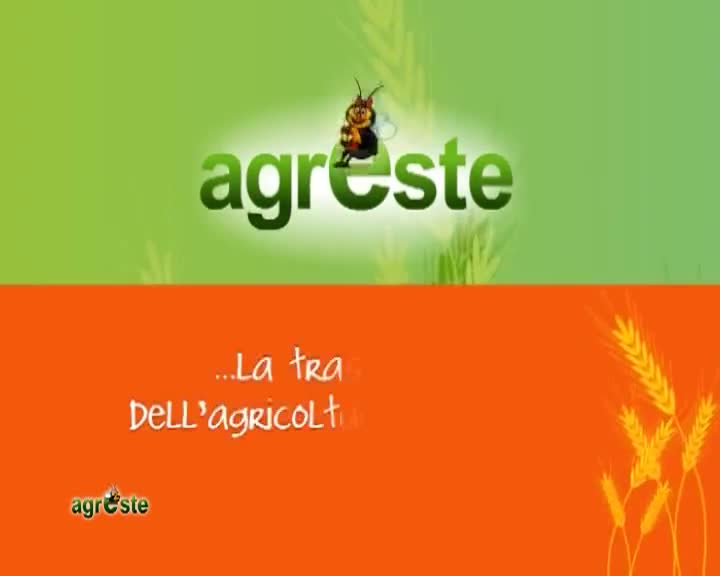 AgresteTV La trasmissione dell'agricoltura ferrarese - immagine