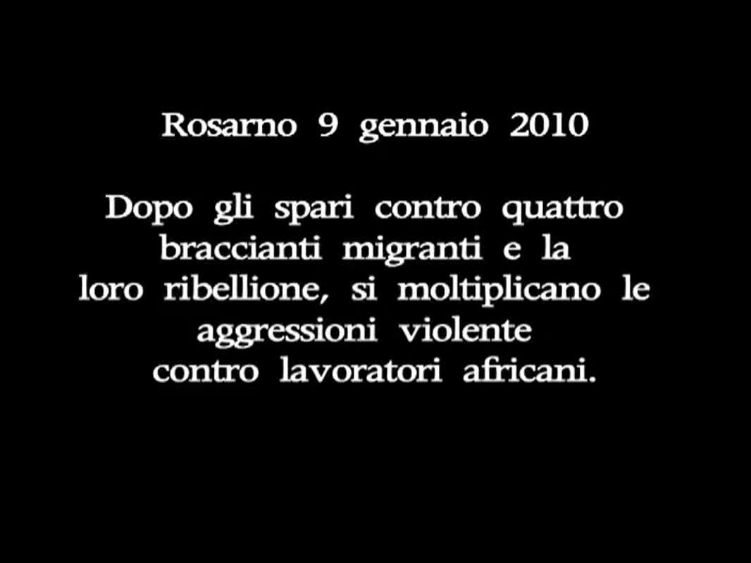 Collecchio Video Film Festival - Rosarno: il tempo delle arance - immagine