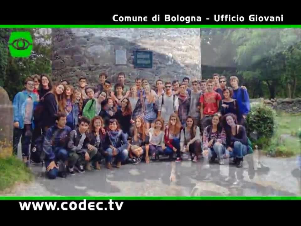 Codec TV, la tv vista dai giovani - immagine