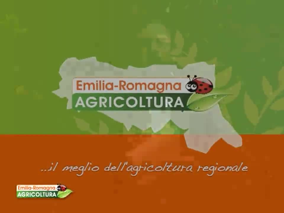 Emilia Romagna Agricoltura - immagine