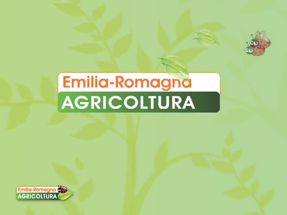 Emilia Romagna Agricoltura - immagine