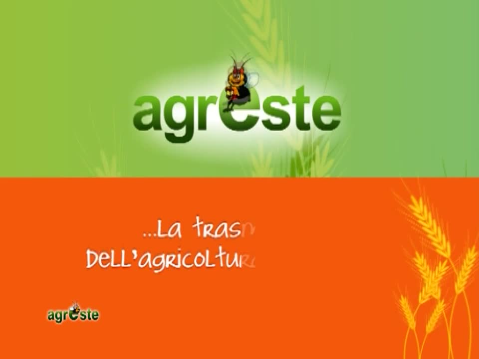 AgresteTV La trasmissione dell'agricoltura ferrarese - immagine