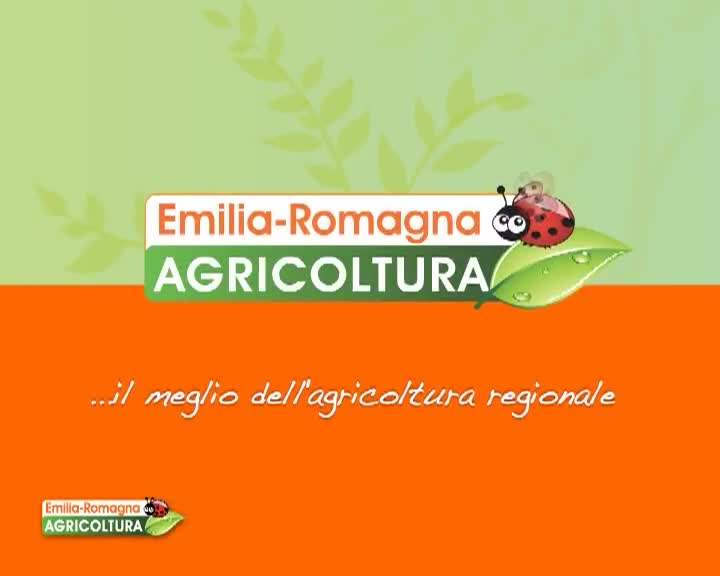 Emilia-Romagna Agricoltura n.2 2014 - immagine