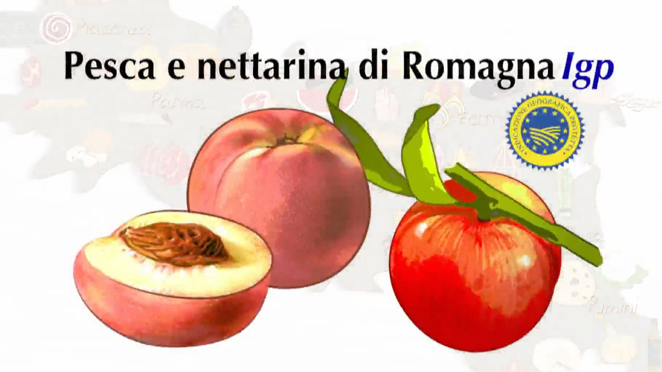 Le pesche e nettarine di Romagna Igp colorano tutta l'estate - immagine di copertina