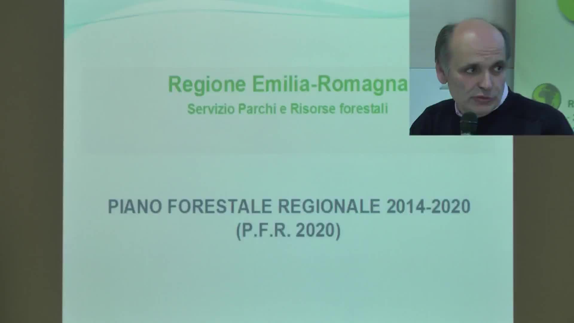 Piano Energetico Regionale - Fausto Ambrosini - immagine
