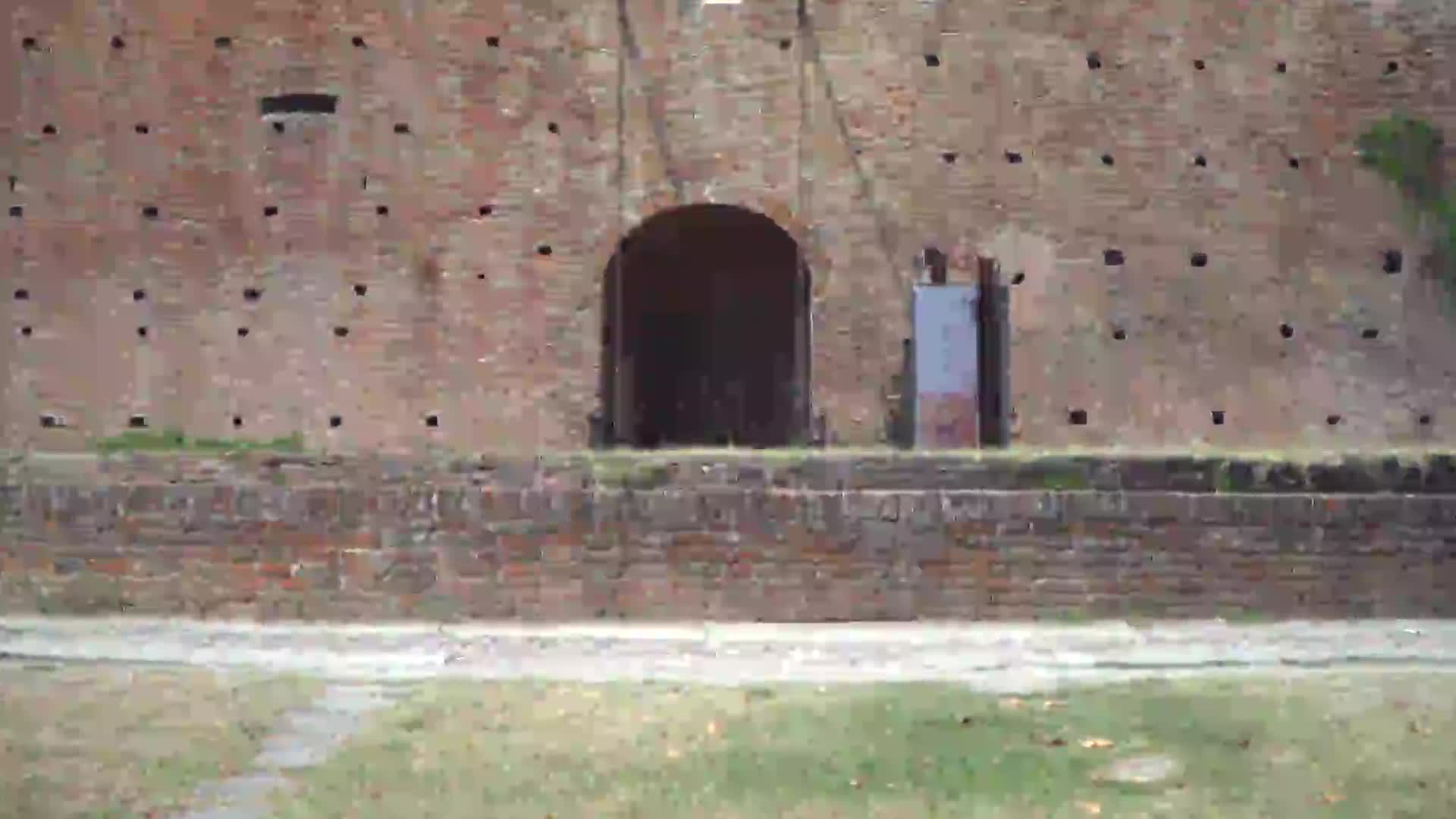 I Castelli di Bologna - immagine