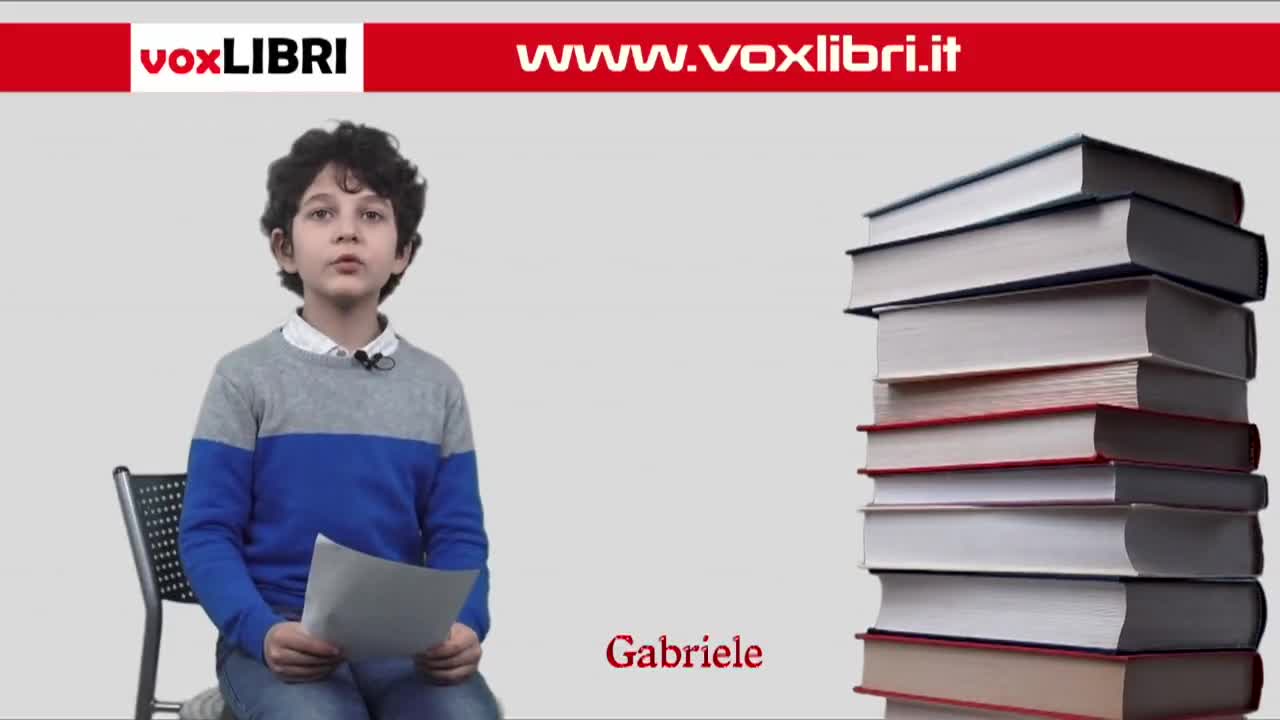 VoxLIBRI - il tuo libro in tv - immagine